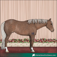Horse Color:Silver Black Varnish Rabicano