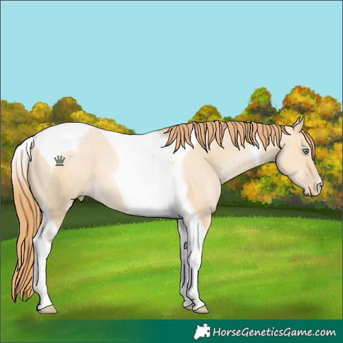Horse Color:Smoky Grullo Pearl Tobiano 
