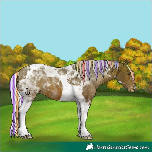 Horse Color:Painted Silver Bay Tobiano Appaloosa