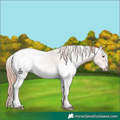 Horse Color:Chestnut Sabino Splash 