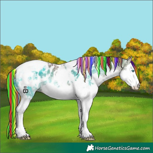 Horse Color:Painted Bay Sabino Splash Tobiano Appaloosa