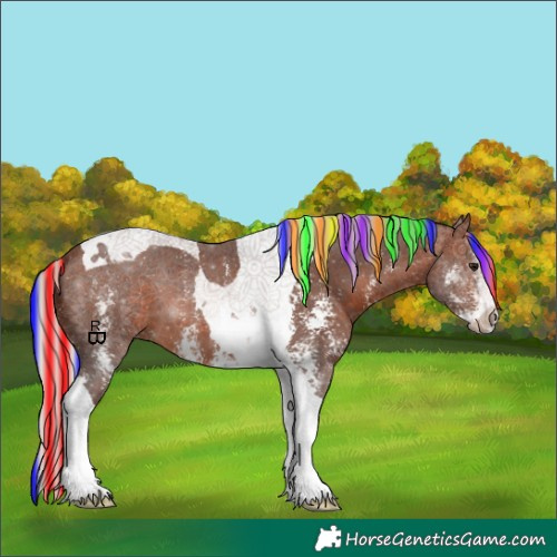 Horse Color:Painted Silver Brown Sabino Tobiano 