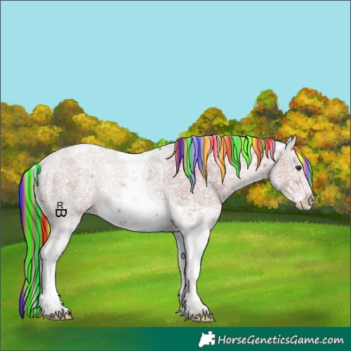 Horse Color:Painted Chestnut Sabino Splash Appaloosa 