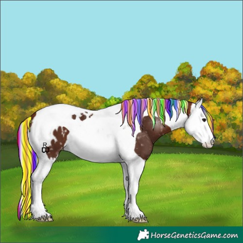 Horse Color:Painted Silver Brown Splash Tobiano Appaloosa