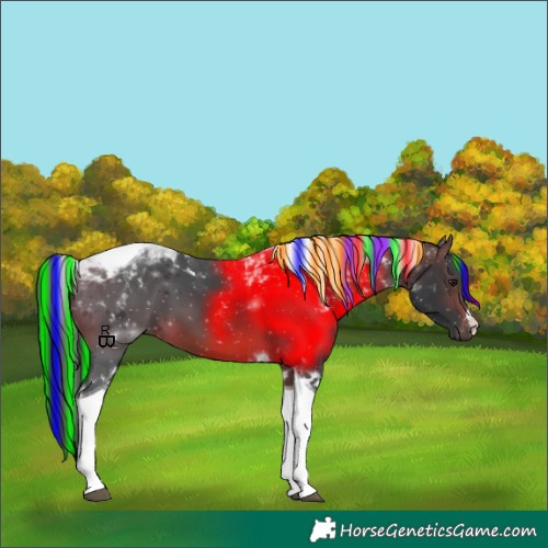 Horse Color:Painted Brown Tobiano 