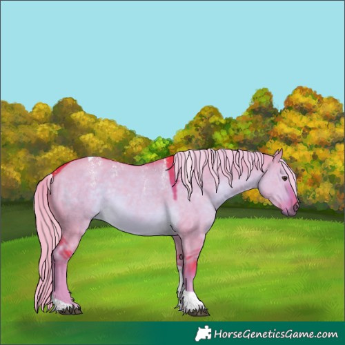 Horse Color:Powder White Watercolor Chocolate Palomino Dun Tobiano 