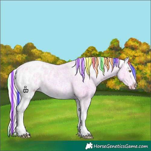 Horse Color:Painted Watercolor Palomino Sabino Splash Appaloosa 