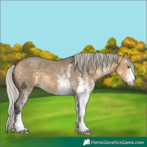 Horse Color:White Spotted Silver Buckskin Dun 