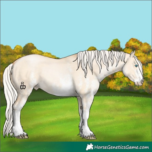 Horse Color:White Spotted Silver Buckskin Pearl Dun 