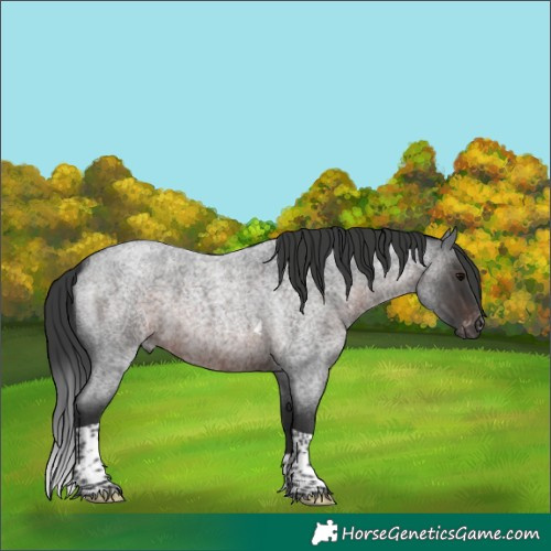 Horse Color:Gray Brown Roan Merle Tobiano Varnish 