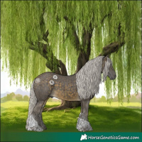 Horse Color:Silver Buckskin Tobiano 