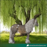 Horse Color:Silver Buckskin Tobiano