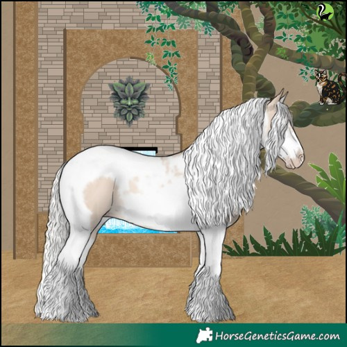 Horse Color:Silver Classic Champagne Dun Splash Tobiano Frame 