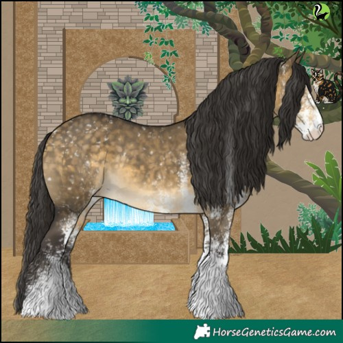 Horse Color:White Spotted Buckskin Dun Appaloosa Rabicano 