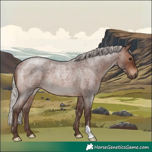 Horse Color:Silver Brown Roan Rabicano
