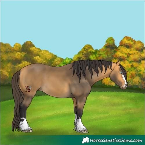 Horse Color:Pseudo Buckskin 
