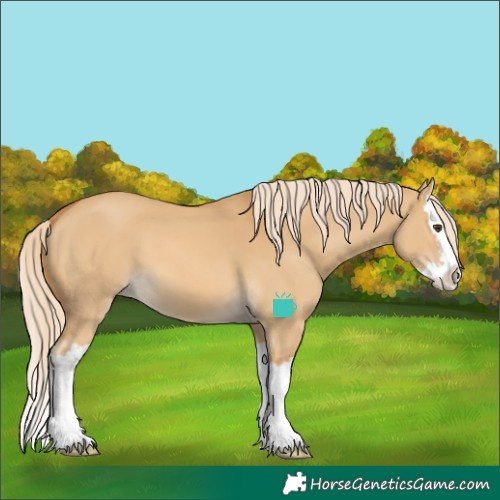 Horse Color:Palomino Dun Splash