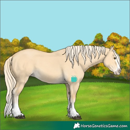 Horse Color:Palomino Dun Splash 