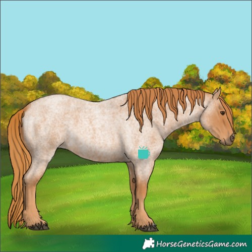 Horse Color:Red Roan 