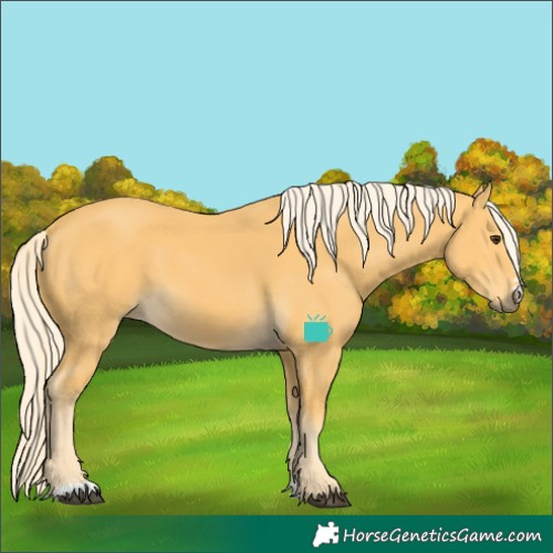 Horse Color:Palomino