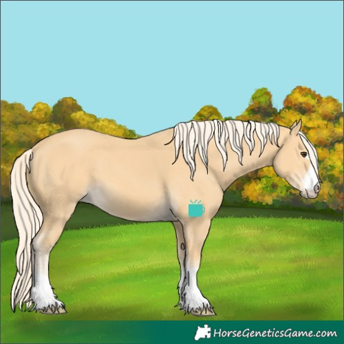 Horse Color:Palomino 