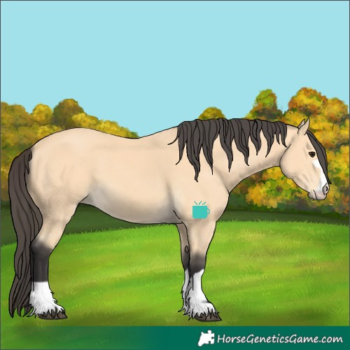 Horse Color:Buckskin