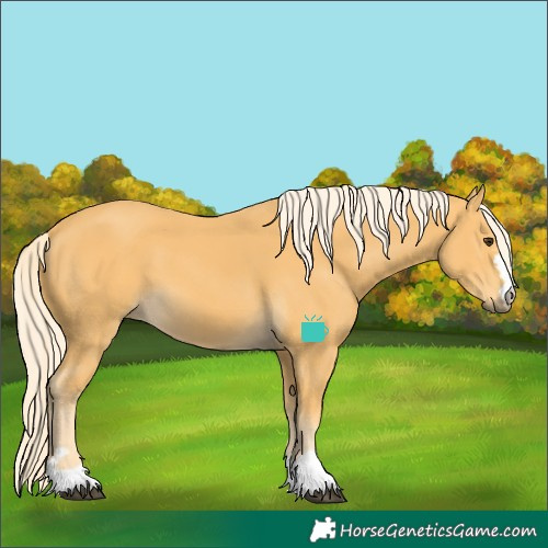Horse Color:Palomino 