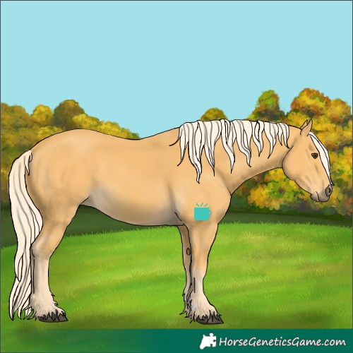 Horse Color:Palomino
