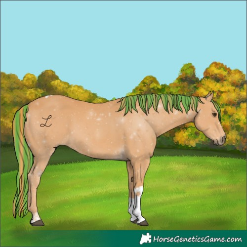 Horse Color:Painted Chestnut Tobiano