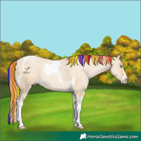 Horse Color:Painted Smoky Grullo Snowdrop Tobiano Rabicano