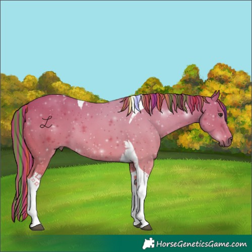 Horse Color:Painted Chestnut Tobiano 