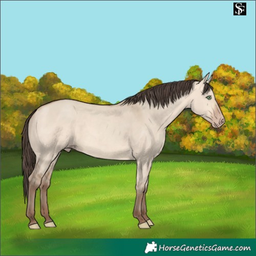 Horse Color:Amber Champagne Dun 