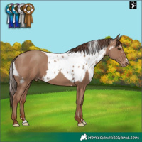 Horse Color:Classic Champagne Skewed LP Spotted