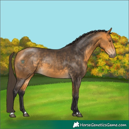 Horse Color:Pseudo Buckskin 