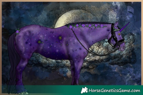 Horse Color:ERROR: UNKNOWN ANOMALY