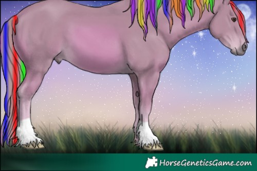 Horse Color:Painted Watercolor Chestnut 