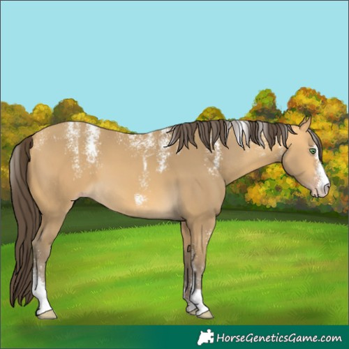 Horse Color:Powder White Sable Cream Champagne