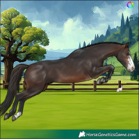 Horse Color:Brown Sabino Skewed Appaloosa 