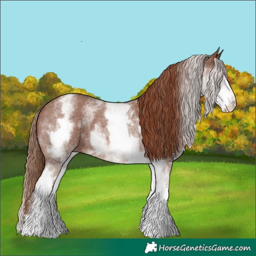Horse Color:White Spotted Chestnut Sabino 