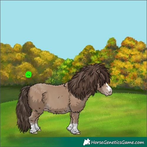 Horse Color:Classic Champagne 