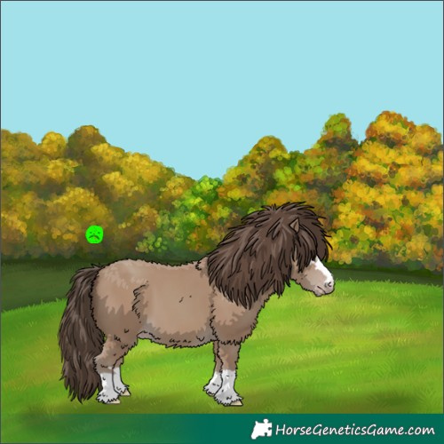 Horse Color:Classic Champagne 