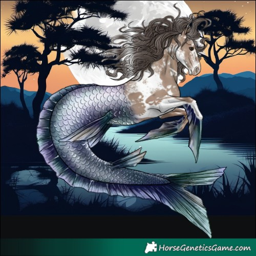 Horse Color:White Spotted Classic Champagne Merle 