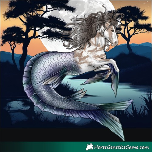 Horse Color:White Spotted Classic Champagne Merle 