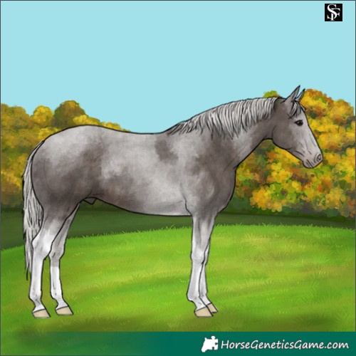 Horse Color:Silver Black Tobiano 