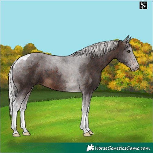 Horse Color:Silver Brown Tobiano 