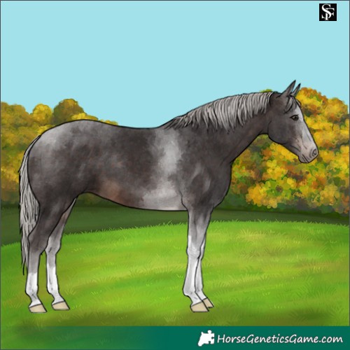 Horse Color:Silver Brown Tobiano 