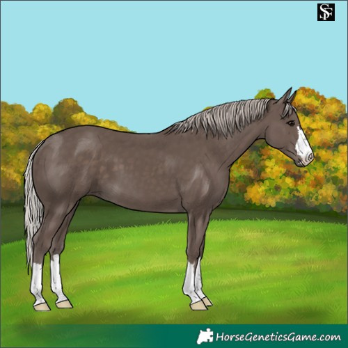 Horse Color:Silver Black 