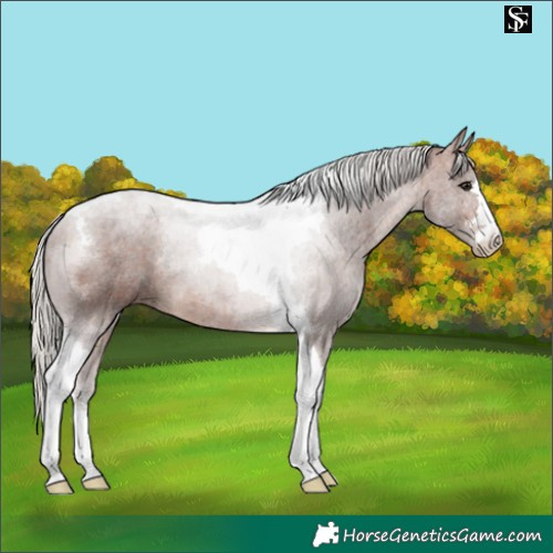 Horse Color:Silver Bay Tobiano 