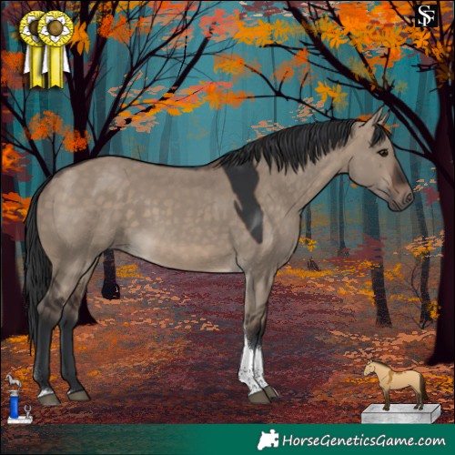 Horse Color:Brown Dun Tobiano 