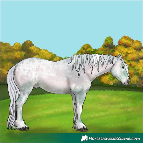 Horse Color:Watercolor White Spotted Silver Grullo Ice Onyx